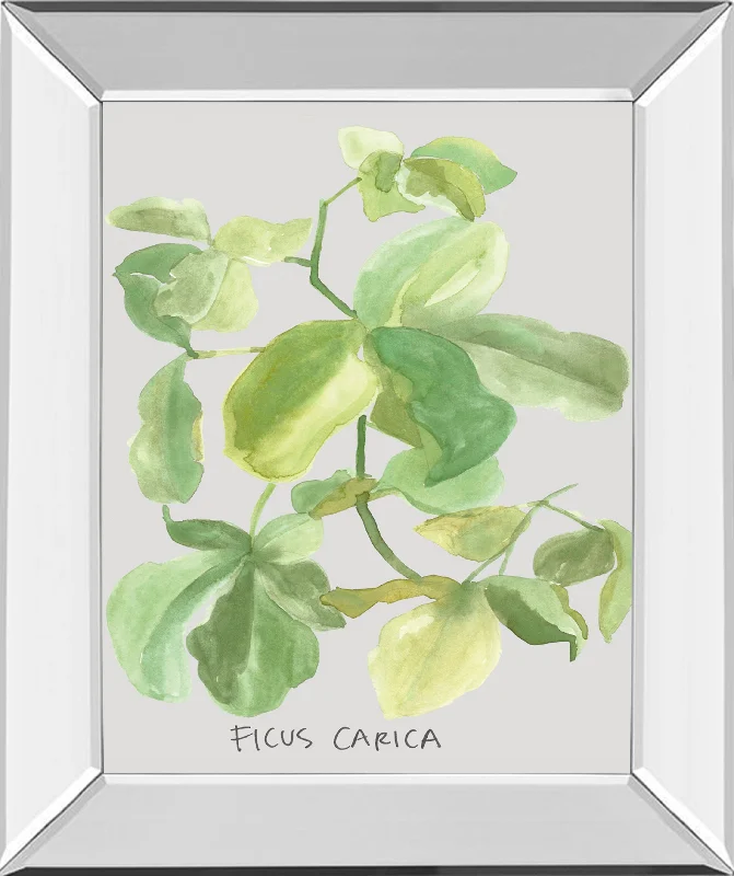 Ficus Carica By Katrien Soeffers - Mirror Framed Print Wall Art - Green