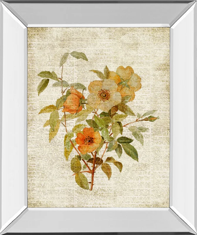 Roses On Newsprint I By Lanie Loreth - Mirror Framed Print Wall Art - Beige