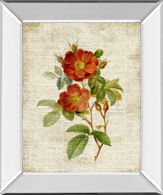 Roses On Newsprint Il By Lanie Loreth - Mirror Framed Print Wall Art - Beige